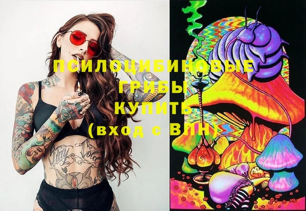 винт Абинск