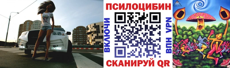 Галлюциногенные грибы Cubensis  купить наркотики цена  Щучье 