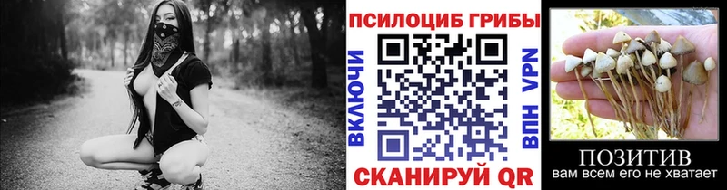 Псилоцибиновые грибы мицелий Щучье